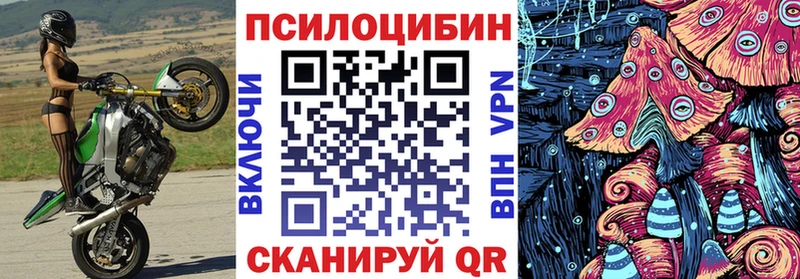 Галлюциногенные грибы мицелий  Гагарин 